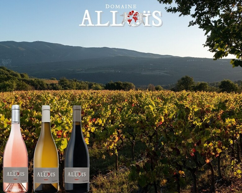 Domaine Allois - Gite Chez Le Vigneron