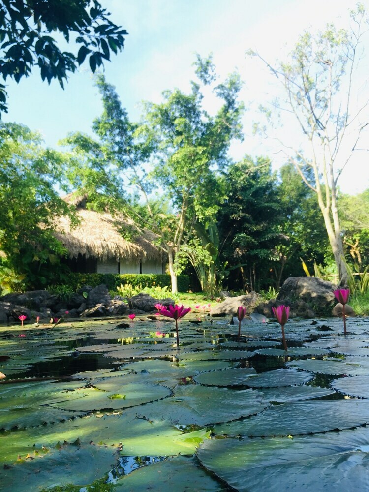 Apartamento Cuc Phuong Resort