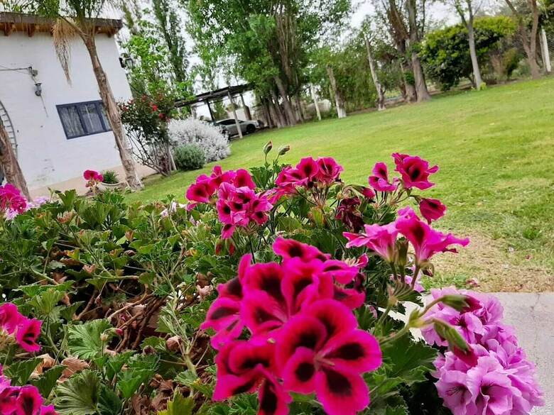 Hotel Apart Caba�as Olivos Del Sol