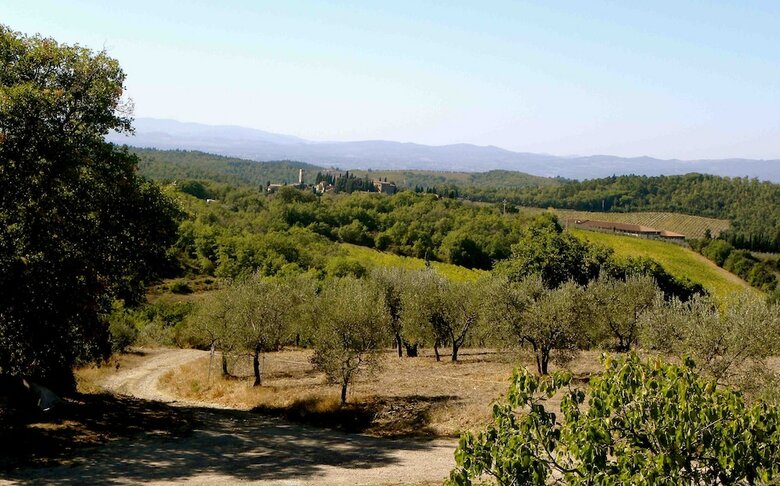 Apartamento La Compagnia Del Chianti