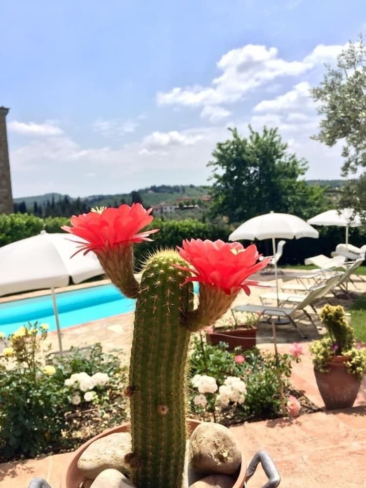 Apartamento La Compagnia Del Chianti