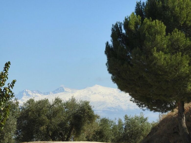 Agroturismo Cortijo La Fe