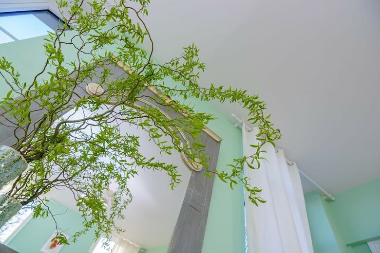 Bed & Breakfast Ch�teau de La Villeneuve