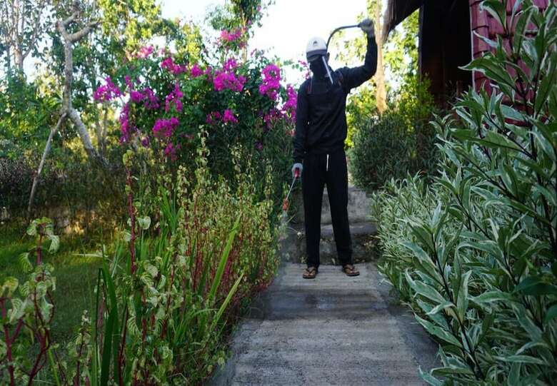 Hotel Bougainvillea Bungalow
