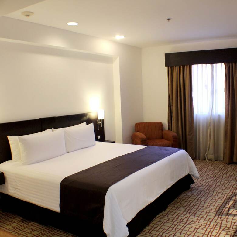 Hotel Misi�n Grand Torre�n