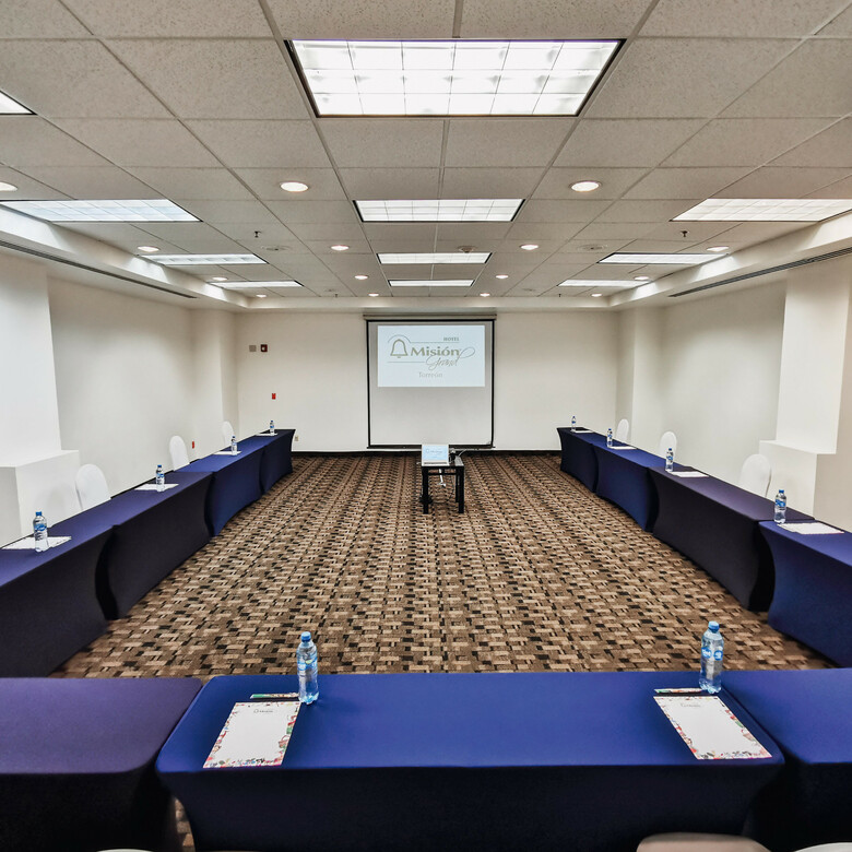 Hotel Misi�n Grand Torre�n