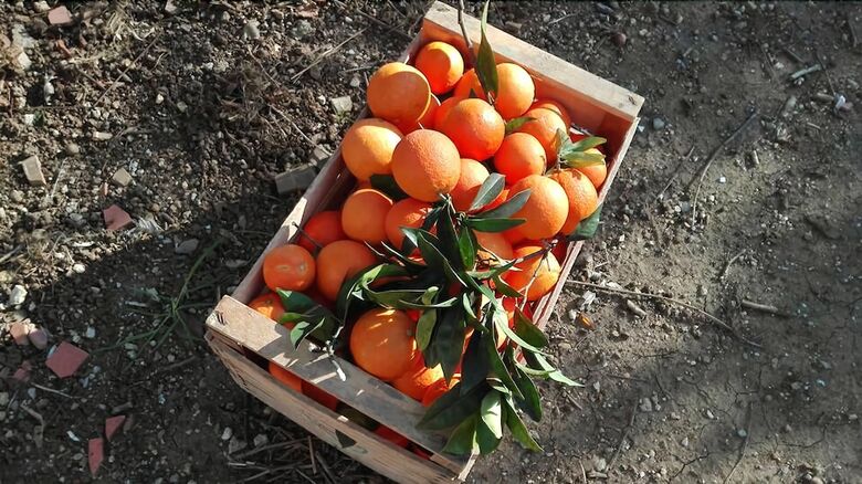 Agroturismo Agriturismo Ai Monaci