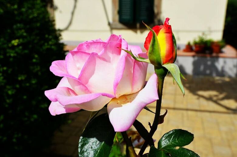 Podere Bazzino B&B