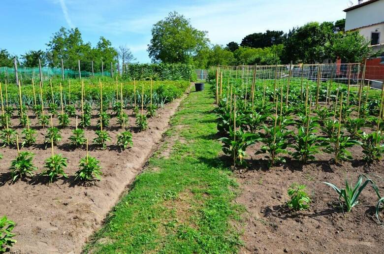 Podere Bazzino B&B