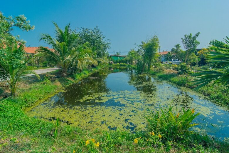 Hotel Oyo 527 Tanfa Resort