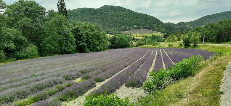 B&B Kassanos