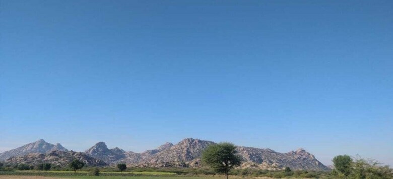 Jawai Jungle Safari Camp