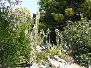 Apartamento Baha-ammes