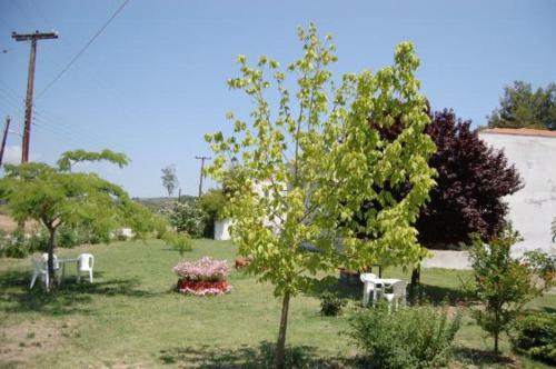 Apartamento Possidi Studios