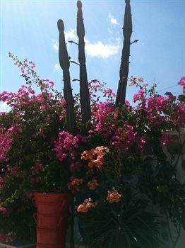 Apartamento Sun Of Mykonos Studios
