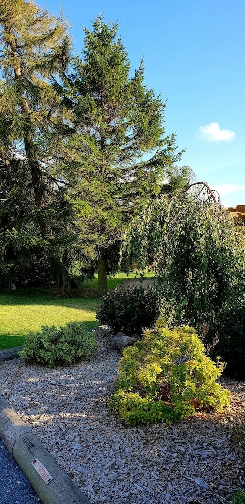 Bed & Breakfast The Vine B & B