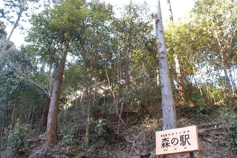 Guesthouse Mori No Eki