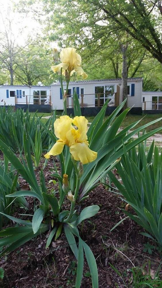 Camping Sites Et Paysages Saint-louis