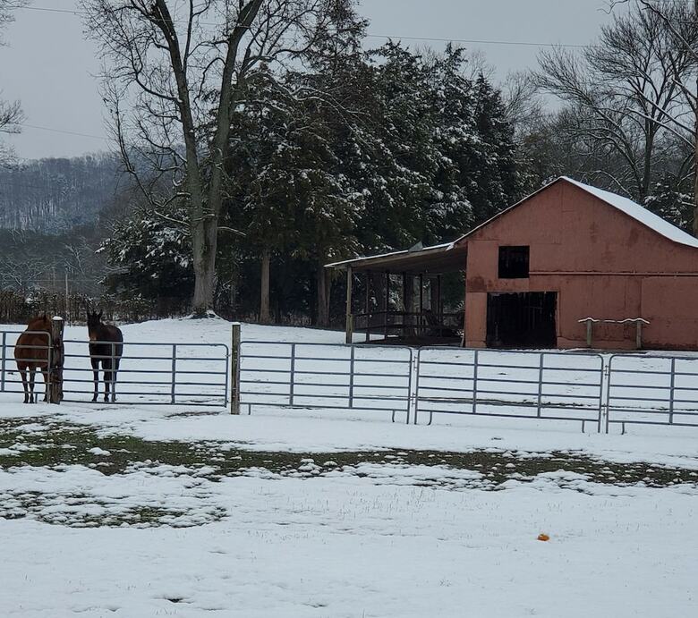 Country Aire Bed & Breakfast Llc
