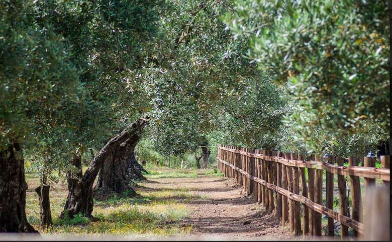 Agroturismo Feudo Delle Querce
