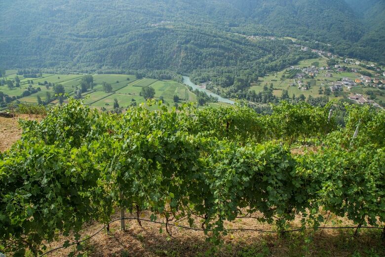 Bed & Breakfast Ca' La Vedescia
