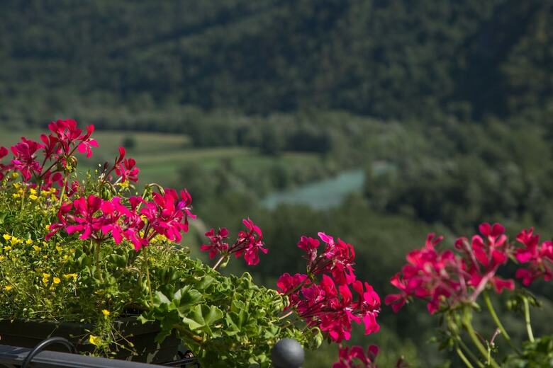 Bed & Breakfast Ca' La Vedescia
