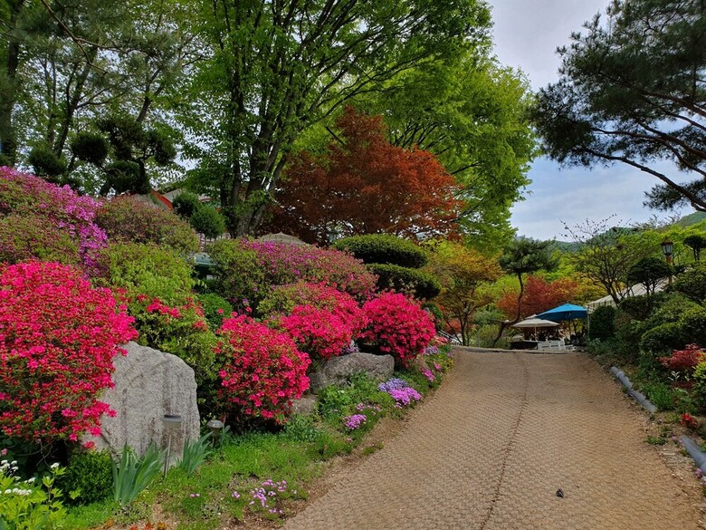 Flower Muji Pension