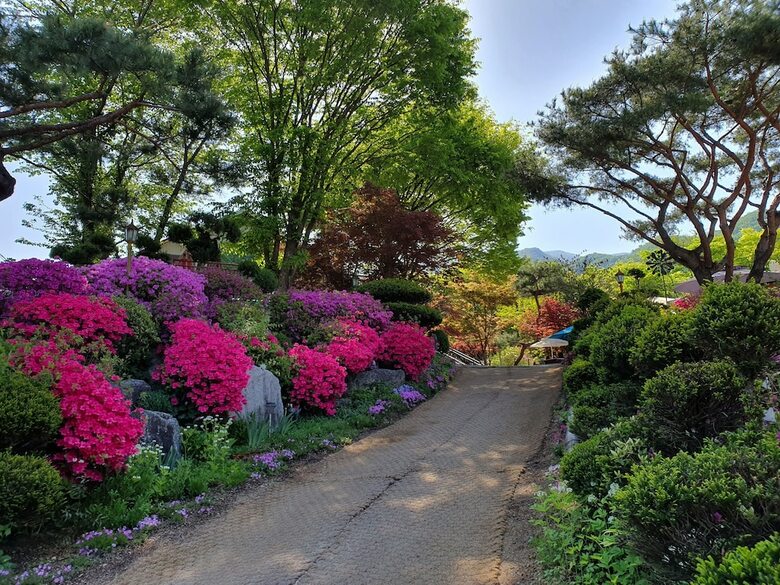 Flower Muji Pension