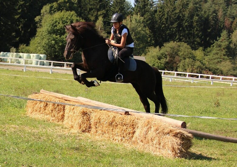 Agroturismo Islandpferdehof Rapoldi