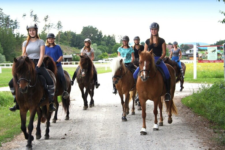 Agroturismo Islandpferdehof Rapoldi