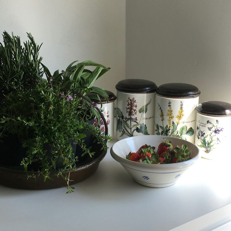 Apartamento House & Garden