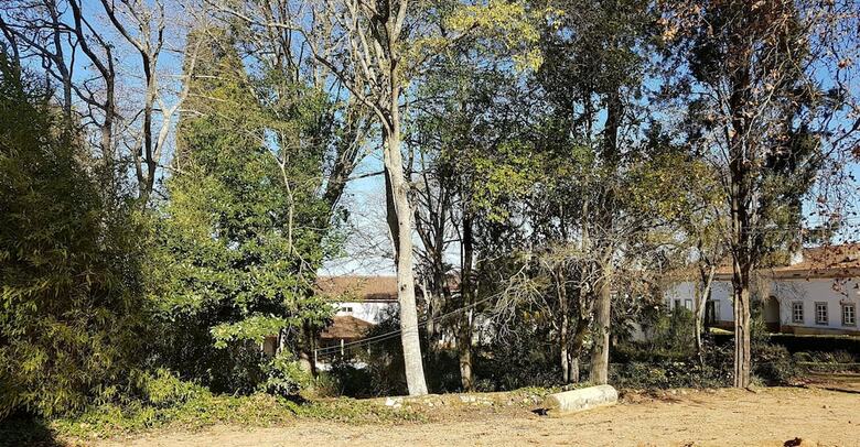 Quinta Da Bizelga Cottages