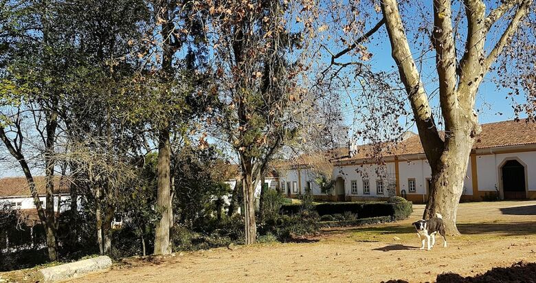 Quinta Da Bizelga Cottages