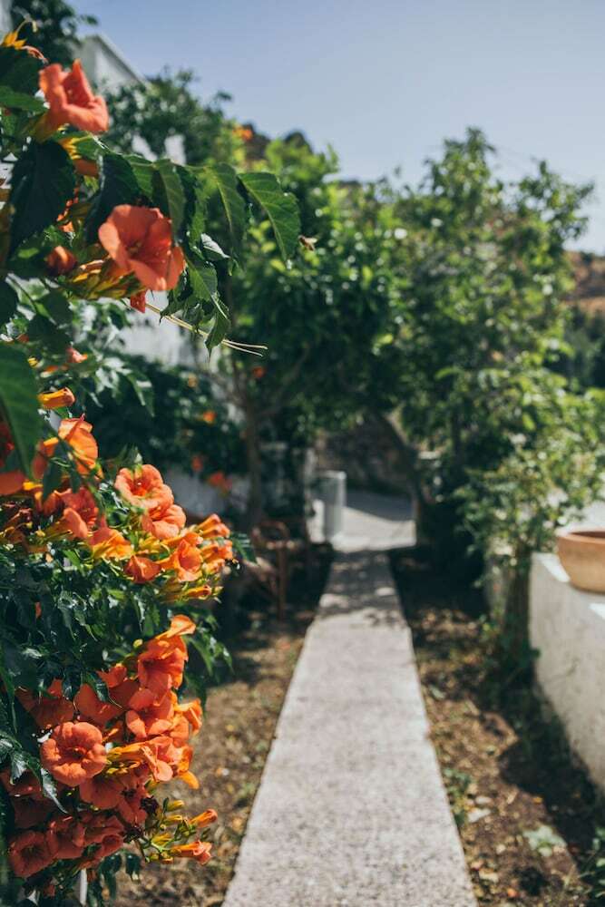 Apartamentos Rustic House In Nature-saktouria - Adults Only