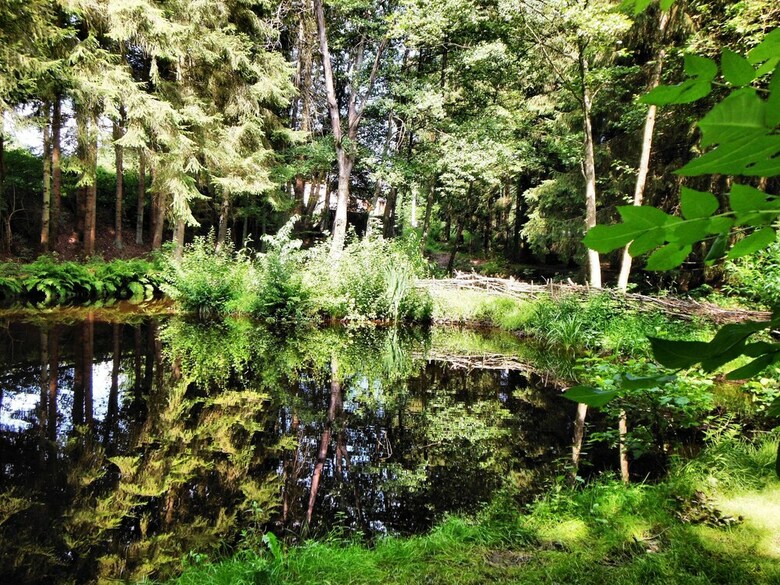 Beautiful Authentic Chalet With Spacious Garden, Covered Barbecue And Private Fish Pond