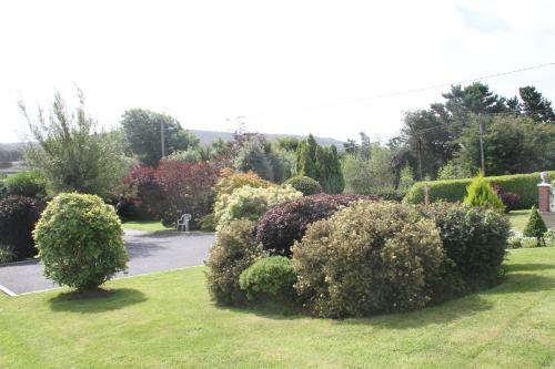 Marguerite's B&B