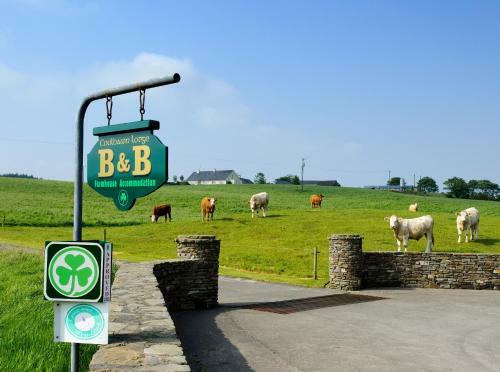 Bed & Breakfast Coolbawn Lodge Farmhouse