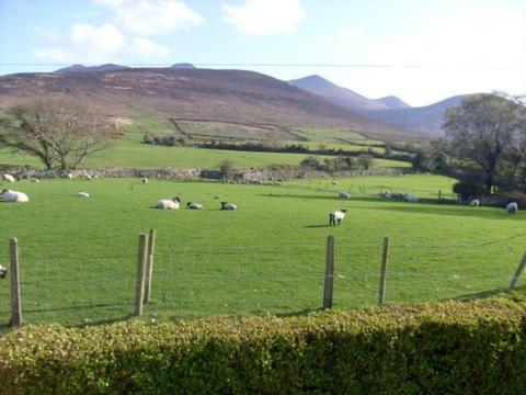 Kingdom View B&B