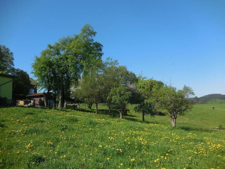 Modern Holiday Home In Hellenthal With Garden