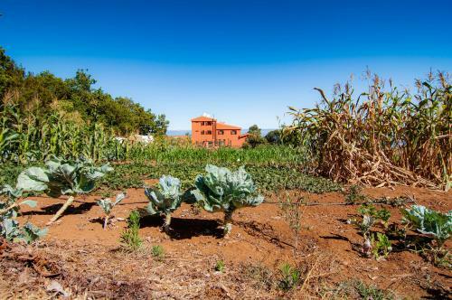 Agroturismo Finca El Pastel