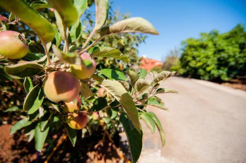 Agroturismo Finca El Pastel