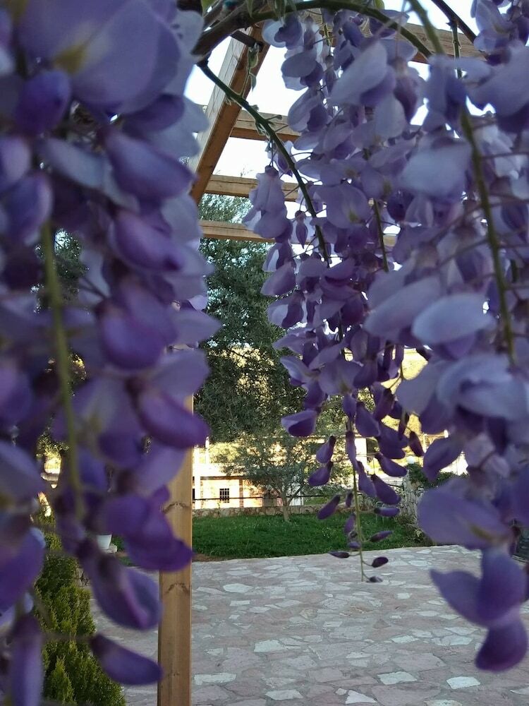 Hotel Villa Ambra