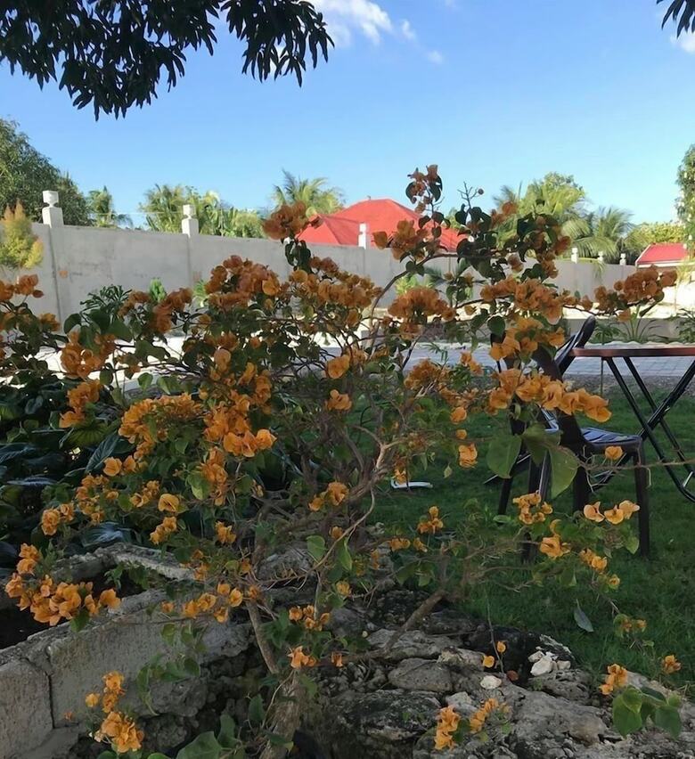 Apartamento La Plumerias