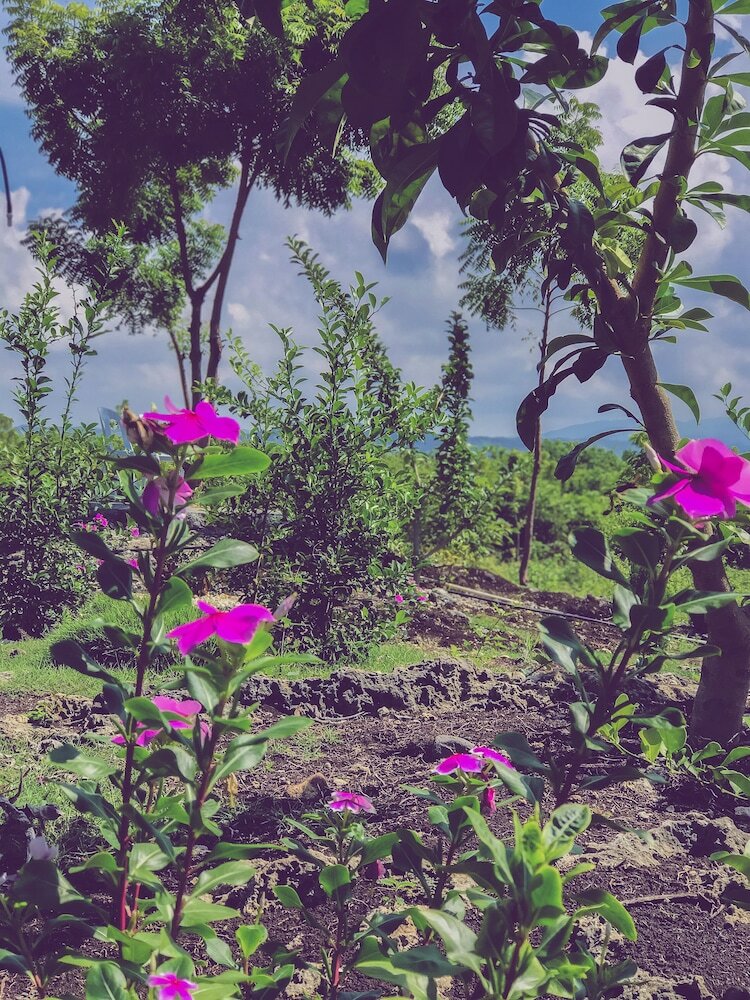 Apartamento La Plumerias
