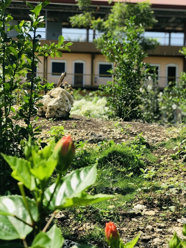 Apartamento La Plumerias