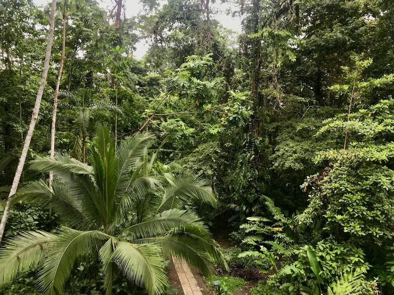 Posada La Kukula Lodge