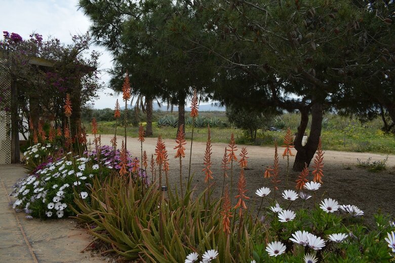 Apartamentos Cortijo La Molina de Cabo de Gata