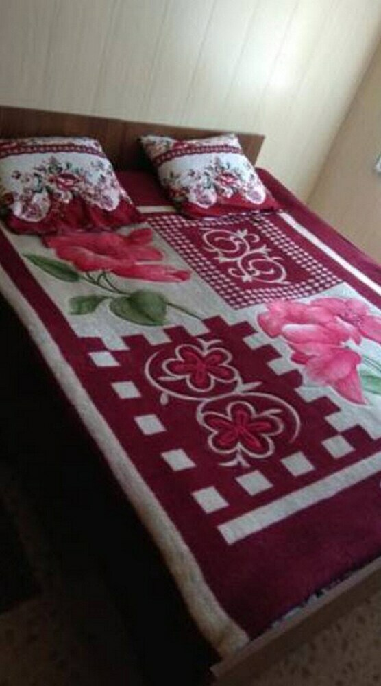 Hotel Ala-kul Guesthouse In Altyn-arashan