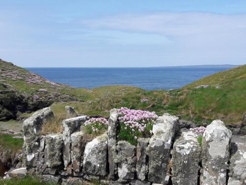 Bed & Breakfast Cois Na Habhann