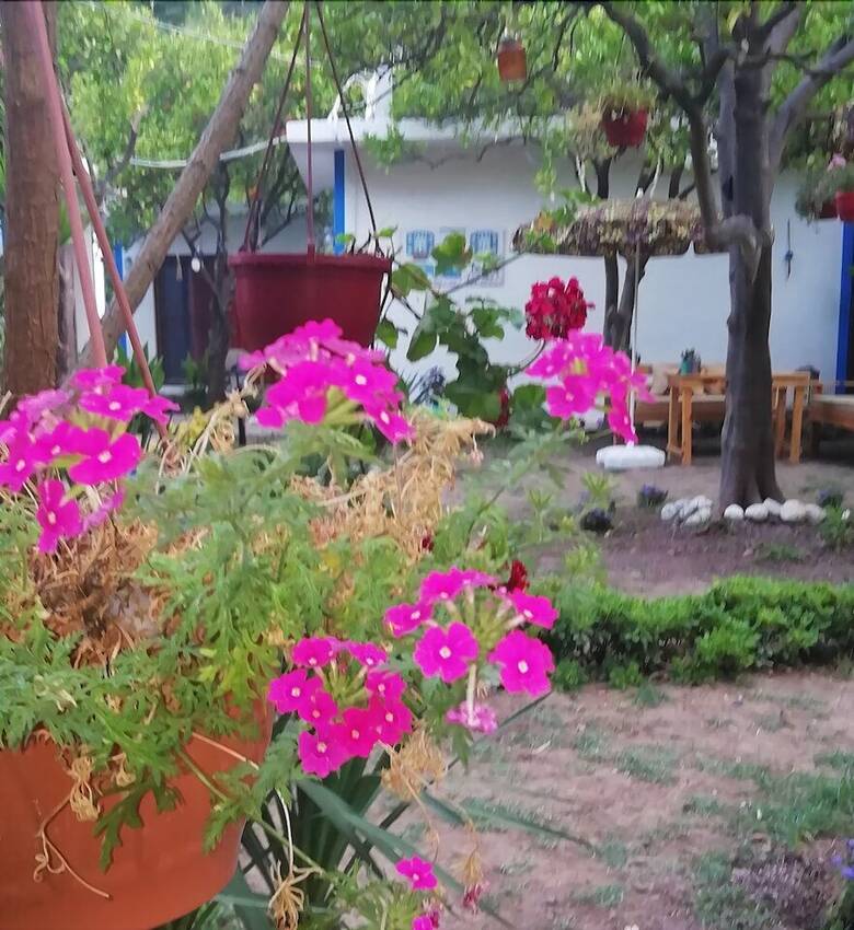 Hotel Relax Point Boutique Pension